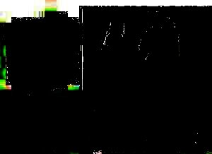 0461450e-d459-47f6-bd9f-d5c58671f4a9 - Angeles del Hogar