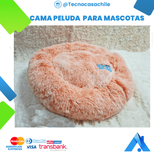 mascotas 2 - Angeles del Hogar