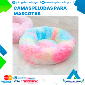mascotas 3 - Angeles del Hogar