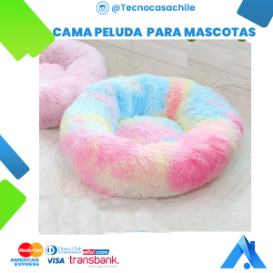 mascotas 3 - Angeles del Hogar