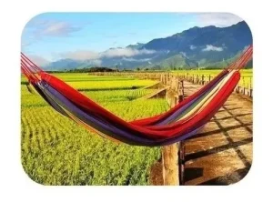 Hamaca Camping o Jardín 150x200 cm Multicolor - imagen 2