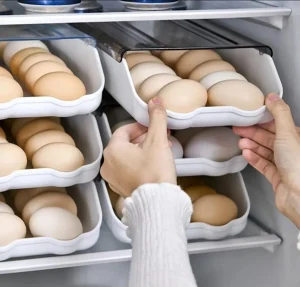 Soporte Bandeja Organizador de Huevos para Cocina - imagen 4